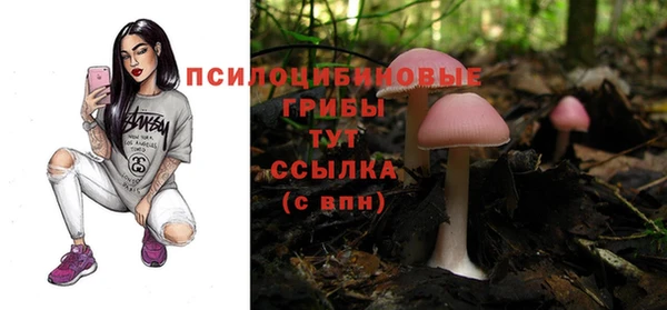 стаф Белокуриха