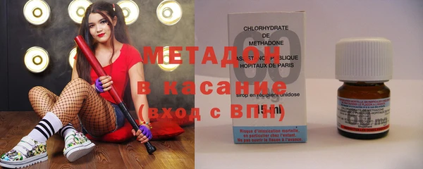 прущие грибы Балахна