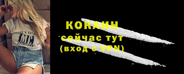 стаф Белокуриха