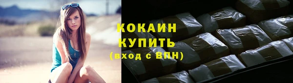 стаф Белокуриха