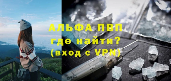 стаф Белокуриха