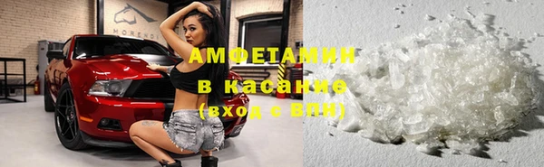 прущие грибы Балахна