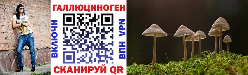 Галлюциногенные грибы ЛСД  Демидов 