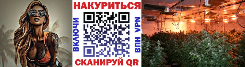дарнет шоп  Демидов  Бошки Шишки гибрид 